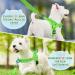 Eyein No-Pull Dog Harness with Leash - Soft Padded Reflective & Adjustable for Puppies Small & Large Dogs Cats - Green XXS - Buy Online on GoSupps.com