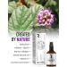 Hendel Garden Rechiol Bakuchiol Serum - Anti-Aging Retinol Alternative with Vitamin C & Almond Oil | Renewing Facial Moisturizer - Buy Online on GoSupps.com