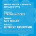 Celebrate Vitamins Rebuild Protein Powder - 20g Whey Isolate Probiotics & Prebiotics High Fiber for Post Bariatric Surgery - Iced Macchiato (15 Servings) - International Shipping Available - Buy Online on GoSupps.com