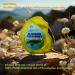 Expanding Woven Dental Floss - Vegan & Non-Toxic Eucalyptus & Manuka | Smart-Weave - 6 Pack 165 Feet - Eco-Friendly Oral Care - Buy Online on GoSupps.com