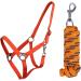 Buy Netproshop Halter & Lead Rope for Mini Shetty to XL Full - Orange Rope | Durable and Stylish - Buy Online on GoSupps.com
