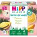 HiPP - Saveurs du Monde - Pommes Ananas P ches - Coupelles 4x100g - Lot de 6 - BIOLOGIQUE Pommes Ananas P ches - Lot de 6 24x100g - Buy Online on GoSupps.com