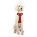 Embark Pets Adventure Dog Harness No Pull Dog Harness with 2 Leash Clips Dog Harness Medium Anti Pull Dog Harness Front & Back with Control Handle Adjustable Soft & Padded Orange M (Chest: 60-77 cm)
