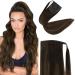 Fshine Balayage Brown Ponytail Extension Real Hair Straight Soft Remy Ponytail Extensions Human Hair Balayage Dark Brown Faded to Maroon Highlight with Dark Brown Extensions 45cm 80g #2/8/2 4.pony#2/8/2 18 inch