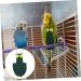 Mipcase Flying Bird Diapers - 2pcs Poultry Bird Diapers for Pets Cotton Nymphensittich & Papage Diapers (22x12cm) - Perfect for Small Chickens & Parrots - Buy Online on GoSupps.com