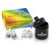 EARGASM High-fidelity earplugs: Pride Edition for concerts musicians motorcycles noise-sensitive conditions and more (premium gift box packaging) Rainbow