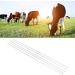 20 Pieces Artificial Fertilization Pipe for Cows | Soft Durable Veterinary Tool | 43.9 cm Cattle Instrument - Buy Online on GoSupps.com