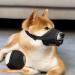 Adjustable Dog Muzzle - Breathable Mesh Nylon Anti-Bite & Bark for Small Medium & Large Dogs (S Black) | International Shipping Available - Buy Online on GoSupps.com