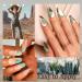 Beetles Gel Nail Polish Kit 39Pcs - 36 Colors Base/Top Coat White Green Pink Red Blue Purple Brown Gray - UV Led Nail Lamp - Christmas Nail Art Gifts - Texas Rose - Buy Online on GoSupps.com