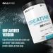 Olivit Creatine 500 g Micronized Creatine Monohydrate for Enhanced Absorption & Performance Supports Strength Muscle Growth and Recovery VeganFriendly Pure Formula - Buy Online on GoSupps.com