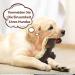 Iokheira Squeaking Dog Toys for Large Dogs | Cuddly Crinkle Toys for Puppies & Medium Dogs | Beige Brown Honeydachs - Buy Online on GoSupps.com
