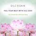 SilcSkin Decollette & Full Facial Set | Reusable Medical-Grade Silicone Pads for Chest Wrinkles & Facial Care - International Shipping Available - Buy Online on GoSupps.com