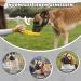 Shop Bonthee Adjustable Dog Muzzle | Soft Breathable & Reflective for Small & Medium Dogs | Perfect for Grooming & Scavenging - Buy Online on GoSupps.com