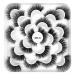 5D Eyelashes - Fashion Fluffy Lotus Plate Design | Reusable Handmade Artificial Lashes | 10 Pair Makeup Tools for Women & Girls - Buy Online on GoSupps.com
