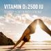 LEANFIT Vitamin D3 2500 IU Extra Strength 90 Tablets - To Keep Your Bones Strong Take This - Helps Prevent Vitamin D Deficiency - Sugar-Free Non-GMO Gluten-Free - Buy Online on GoSupps.com