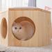 MYZOO Busy Cat Chair Plate: Dual-purpose Scratching Chair for Cats and People - Buy Online on GoSupps.com