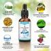 Hyaluronic Acid Serum for Dry Skin Natural Anti Ageing & Anti Wrinkle Serum for Skin Face Face Serum Best Choice for Skin Care and Neck - 30ml - Buy Online on GoSupps.com