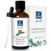 Balsam Fir Needle Essential Oil Scent Oil for Home Crafts Household Holiday - 30ml/1 fl oz