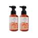 Bath and Body Works Aromatherapy Energy Orange Ginger Hand Soap 2 Pack - 8.75 Fl Oz - Buy Online on GoSupps.com