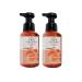 Bath and Body Works 2 Pack Aromatherapy Energy Orange Ginger Gentle Foaming Hand Soap 8.75 Ounce Dark Brown Bottle with Orange Band Orange 8.75 Fl Oz (Pack of 2)