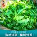 Pu-erh tea 2020 Lu Tang Jingmai Ancient Tree 357g Raw - Buy Online on GoSupps.com