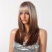 Testar Brown Blonde Ombre Wigs for Women | Long Straight Layered Heat-Resistant Synthetic Party & Cosplay Wigs - Buy Online on GoSupps.com