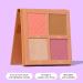 BEAUTY BAY Dream Delight Face Palette - Highlighter, Bronzer & Blush All In One - Vegan & Cruelty Free - Light to Medium Skin Tone - Buy Online on GoSupps.com