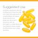 NDS Nutrition Censor - Fat Loss & Body Toner with CLA, Fish Oil & Safflower - 180 Softgels - Buy Online on GoSupps.com