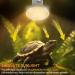 EASYIVY E27 Reptile Heating Bulb 50W UVA UVB Turtle Basking Light Bulb Dimmable Tortoise Heat Lamp Bulbs for Bearded Dragon Lizard Snake Gecko Chameleon Amphibian 4-Pack - Buy Online on GoSupps.com