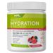 Hydration and Electrolyte Recovery Mix | 0 Sugar | Amino Blend | 45 Servings (Fruit Punch)