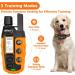 Wizco Dog Collar - 3300Ft Dog Training Collar with Remote for 5-120lbs Small Medium Large Dogs Rechargeable Waterproof e Collar with Beep (1-8) Vibration(1-16) (Orange) - Buy Online on GoSupps.com