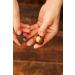 Premium Australian Macadamia Nuts in Shell - Dry Roasted - 8 Oz with Key Device - Buy Online on GoSupps.com