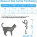 Petbonus Adjustable Cat Dishes & Leash Set | Soft Breathable Small Cat Dishes with Reflex Strips - Ideal for Kittens | International Shipping - Buy Online on GoSupps.com