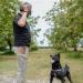 Duuclume Hands-Free Dog Training Kit with Treat Pouch, Clicker, Whistle & Carabiner - Grey - Buy Online on GoSupps.com
