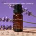 Flying Pigeon Lavender Essential Oil 10ml - Pure Steam Distilled French Lavender from Provence forDiffuser, Skin, Hair, Bath & DlY- Includes Home Test Card & User Guide - Buy Online on GoSupps.com