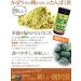 Omega Nutrition Pumpkin Seed Protein Powder 600 Gram (Pack of 1) - Buy Online on GoSupps.com