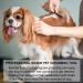 Dog Stripping Knife for Grooming - Professional Right-Handed Tool with Wooden Handle for Border Terrier - Buy Online on GoSupps.com