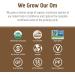 Om Turkey Tail Mushroom Superfood Powder - 100 Servings, Immune Support & Gut Health Supplement - 7.05oz - Buy Online on GoSupps.com