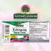 Nature's Answer Echinacea Extract with Organic Alcohol - 2 fl oz | Immune Support - Buy Online on GoSupps.com