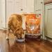 Lily's Kitchen Made with Natural Ingredients Dry Food for Adult Dogs Chicken & Duck Grain Free Recipe 12kg Bag - Buy Online on GoSupps.com