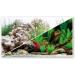 AMTRA WONDER - Aquarium poster background aquarium decoration decorative poster with double print format 30x60cm - Buy Online on GoSupps.com