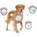 Buy 8in1 Fillets Pro Digest Dog Snacks - Chicken Treats for Digestion - 80g Pack - Functional Dog Treats - Buy Online on GoSupps.com