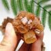 Natural Crystal Rough Natural Crystal Rough 1pc Natural Rare Red Aragonite Quartz Crystal Cluster Ornaments Rough Stone Cluster Specimen Home Decor (Color : As Shown Size : 60-70g) 60-70g As Shown - Buy Online on GoSupps.com