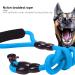 Premium Multi-Dog Leash for 1-4 Dogs | Faith-Free Chain Lead for Walking & Jogging | Perfect for Medium & Small Pets - Blue - Buy Online on GoSupps.com