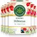 Traditional Medicinals - Organic Hibiscus Herbal Tea (Pack of 6) - Fair Trade Ingredients - Tart Tangy and Fruity - 96 Tea Bags Total Tea Hibiscus 16 count (Pack of 6)