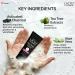 Lact'o Calamin'e Activated Charcoal Face Wash with Aloe Vera & Tea Tree Extract for Deep Skin Detox. Removes fights blackheads & whiteheads. No Parabens No Sulphates - 100 ml Pack of 1 - Buy Online on GoSupps.com