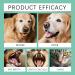 Spray de soin buccal pour animaux de compagnie - 100 ml de nettoyage instantan r duction d'accumulation produit de soin de fra cheur buccale | Pour la sant des chats chiots animaux domestiques - Buy Online on GoSupps.com