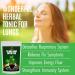 Organic 10-Day Lung Detox Tea for Respiratory Support - Buy Online on GoSupps.com