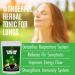 10-Day Organic Herbal Lung Detox Tea for Respiratory Support - Buy Online on GoSupps.com
