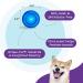 Buy Planet Dog Orbee-Tuff Lil Snoop Interactive Snack Ball Toy for Dogs - Small Royal Blue - International Shipping Available - Buy Online on GoSupps.com